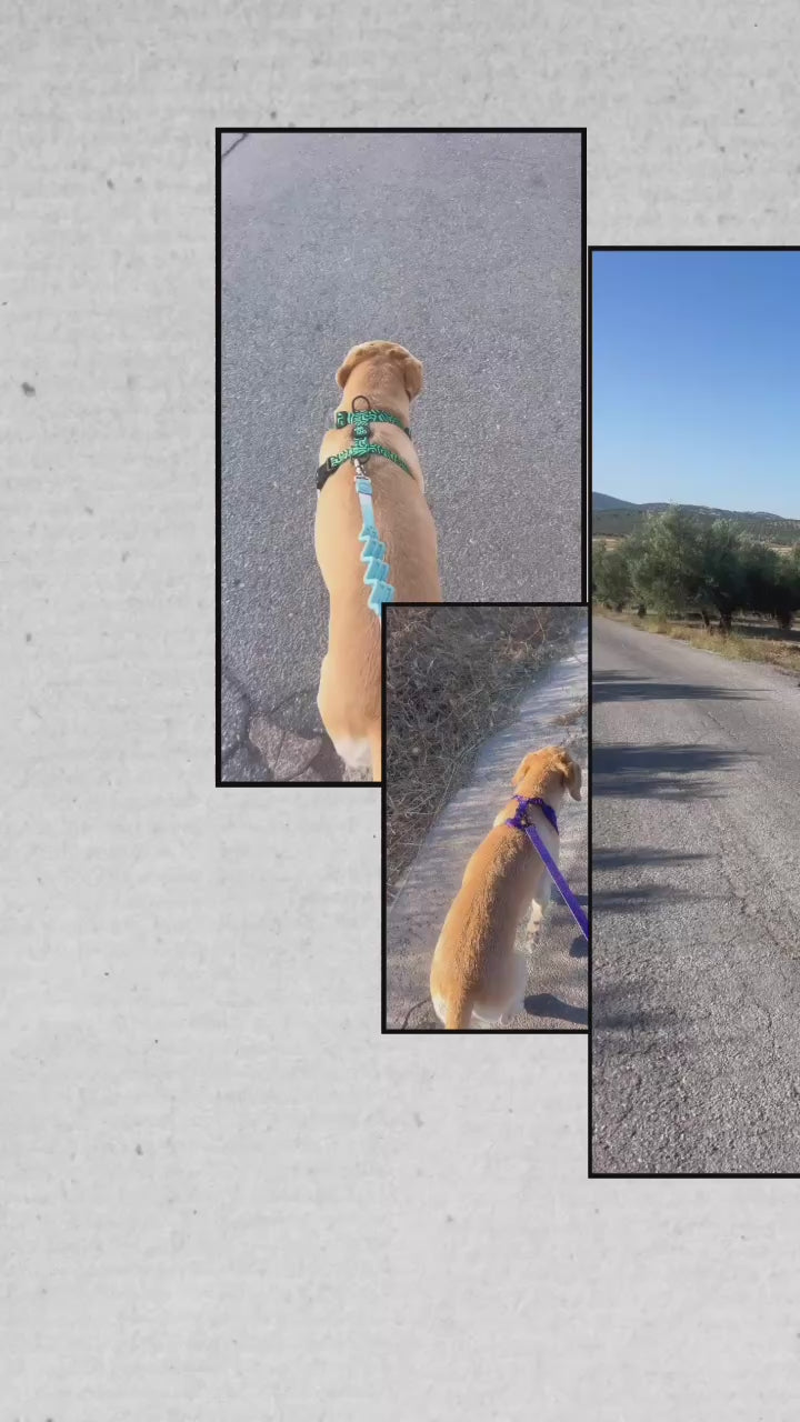 Cargar video: 